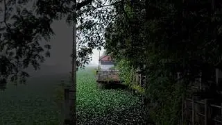 mazha ❤️  kerala
