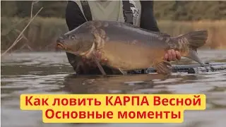 Как ловить КАРПА Весной    Основные моменты