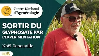 Remplacer le glyphosate  Retour d'essais chez Noël Deneuville - Journée Séguy 2024
