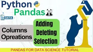 How to Add, Rename, and Remove Columns in Pandas | Pandas Tutorial For Data Science