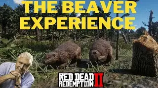 Beaver Builders: A RDR2 Gaming Adventure (David Attenborough AI Voiceover)