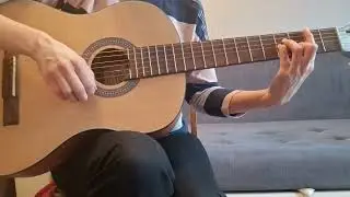 Канцлер Ги Дикий Билл (разбор на гитаре)