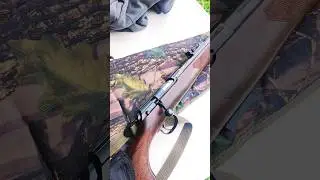 CZ 457 Iron Sights Only 22lr #shorts #22lr #cz457 #targetshooting # guns #rimfire #plinking #caza