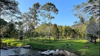 บุกเชียงรายตะลุยคาเฟ่แนวธรรมชาติ Canary farm  & resturant