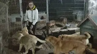 Малышатки наши