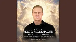 Vila i frid Hugo