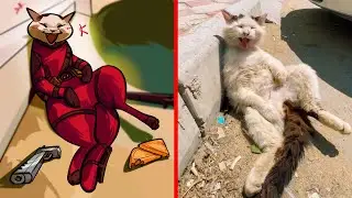 Stray Cat Looks Like Deadpool (art by me)