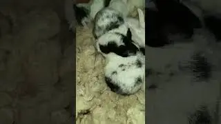 hello cuties🤗