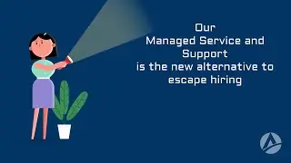 Salesforce- Managed Service and Support