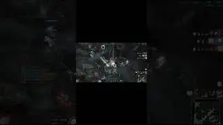 KAT EVOLVEDS PROTEGE