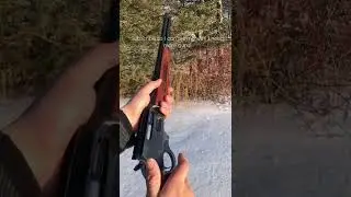 Glenfield 30a or Marlin 336 Lever action
