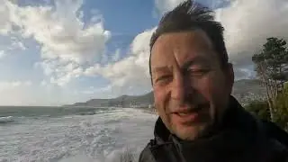 Последствия урагана на пляже Клеопатра. Грибы на скалах у моря! 26.11.23г.