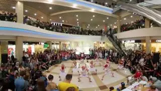 Команда Orange Kittens. Видео 360°