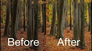 The EDITING PROCESS behind my shot of a beautiful autumn scene