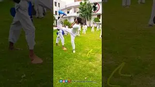 amazing taekwondo kicks 🦵😱 #youtubeshorts#martialarts #taekwondo #viral #trendingshorts