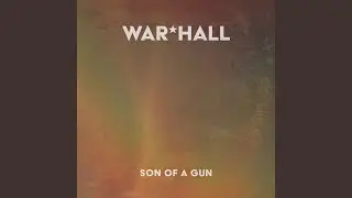 Son of a Gun