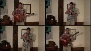 Clandestino - Manu Chao cover by Firmin Manoury