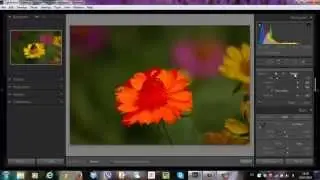 Dodge and burn - что это? Урок