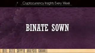 Binate Sown Dual Token Crypto Token Review - Presale