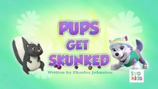 👍Pups Get Skunked-щенки и скунс!!!!👍