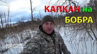 БОБЕР на Новогодние Праздники