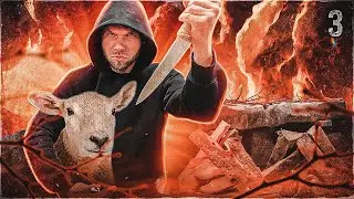Why did God kill innocent animals? SECRETS OF THE SANCTUARY, ep. 3