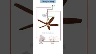 Ceiling fan house wiring diagram #electrical #wiring #ceiling #shorts #viralvideo #youtubeshorts