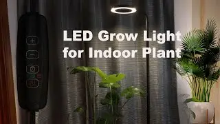 The Best Grow Light For Your Indoor Plants! Full Spectrum, Dimmable Led With Automatic Timer.