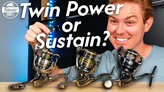Which Shimano Reel Should You Buy? Sustain FK vs Twin Power XD & FE
