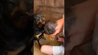 НУ НАХ... ТАКОГО СТРИЧЬ 🤯🤯🤯