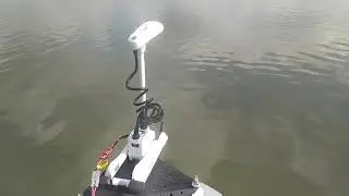 Курахово