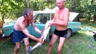 Пьяная рыбалка. Продолжение