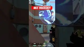 Nice trickshot 
