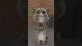 Talking Tomcat Effects (Sponsored by NEIN Csupo Effects)