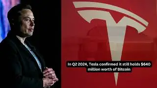 In Q2 2024, Tesla confirmed it still holds $640 million worth of Bitcoin