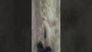 12.12.2023 заснеженная столица Черноземья