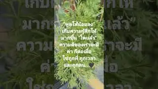 “พูดให้น้อยลง”เก็บความรู้สึกให้มากขึ้น “โตเเล้ว”ความดีของเราจะมีค่า 