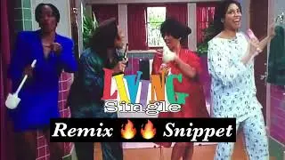 Living Single Intro Remix