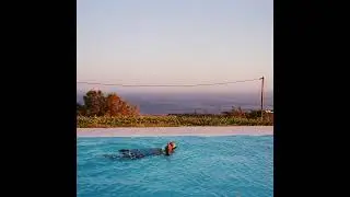 New West - Stevie Nicks