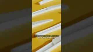 За что оштрафуют на Иссык-Куле?