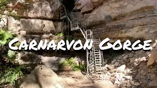 Carnarvon Gorge: A Historic Walk Back In Time - Gap year Ep 11