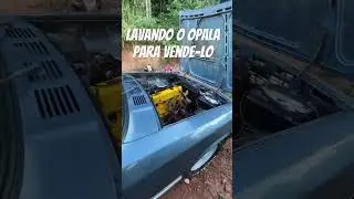 Vou ter que vender o opala #opala #caravan #chevrolet #grau #carros #lavagemdetalhada