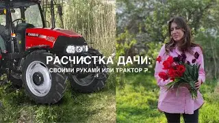 ЗАРОСШАЯ дача. ТРАКТОР для РАСЧИСТКИ участка: СТОИТ ли ОНО того? ОШИБКИ новичков. Установка ЗАБОРА.