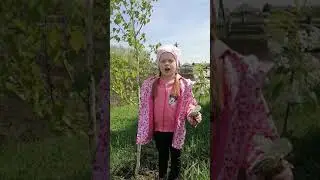 Лисина Вероника