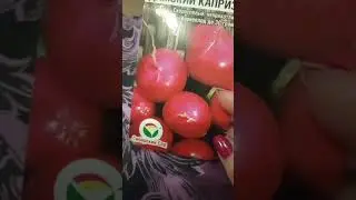 Редис Дамский каприз 😊