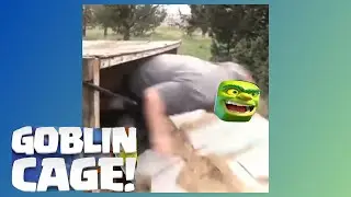 Clash Royale IRL