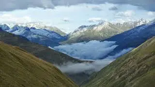 Тест