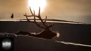 Chasing the Wild Outdoors with Cole Waltner