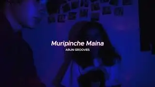 Muripinche Maina ( slowed + reverb ) - Krishna
