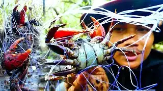 How To Find Red Crab With Easy Trap When Low Tide.